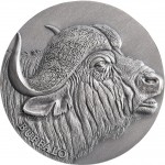 Republic of Cameroon 2 oz BUFFALO-BISON series Expressions of Wildlife 2000 Francs Silver Coin 2022